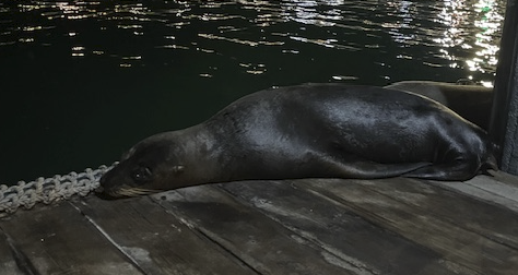 Mon voyage en Equateur